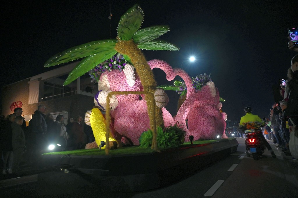 ../Images/Verlicht bloemencorso 2025 198.jpg